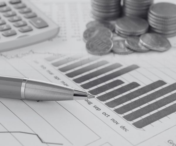 Financial Systems & Process Analyst